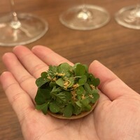 The Jade Room + Garden Terrace - 