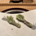 伯雲 - こしあぶらの天ぷら　秋田県産