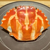 センティウ - 