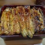 Unagi Irokawa - 