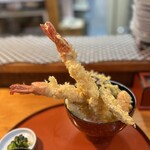 粋孝 - 背面からみてもこのサイズ感。