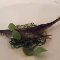 Alchimiste - 