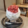 梛の木