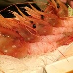 かみ磯 北第1ふ頭　札幌時計台店