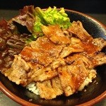 Yakinikudontadon - カルビ丼（並）