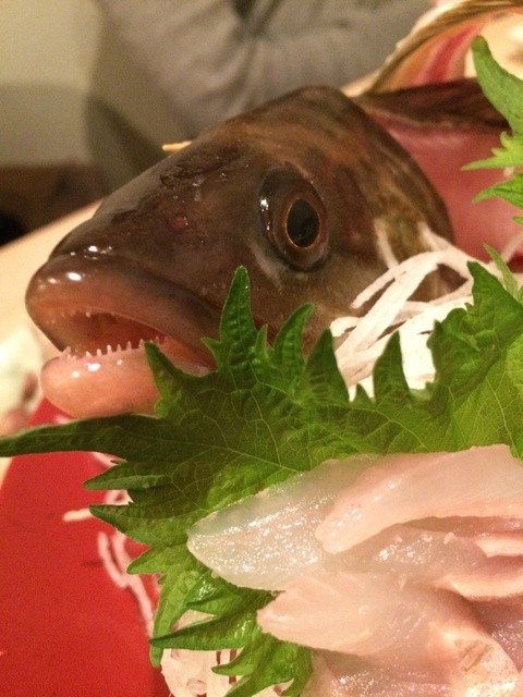 札幌市内でもかなり上位の刺身の新鮮さと盛り付け 函館名物も楽しめるおすすめの海鮮居酒屋 By ぷらぷら食い倒れ かみ磯 北第1ふ頭 札幌時計台店 さっぽろ 札幌市営 魚介料理 海鮮料理 食べログ