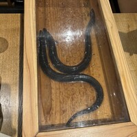 にょろ助 銀座 - 