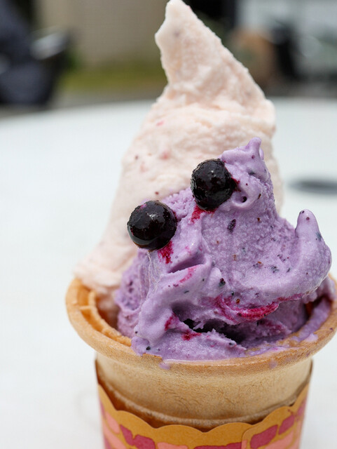 まきばのジャージー 道の駅伊達の郷りょうぜん店 &ndash; ジェラート・アイスクリームの魅力