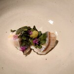 温石 - 今朝獲れたエボ鯛に春菊を蒸したもの