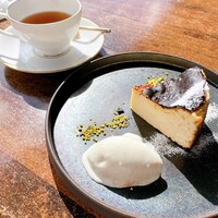 スミレオオサカ -  スミレオオサカ -