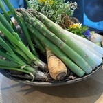 アグリスケープ - 