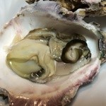 山芳亭 - 2014年3月9日の岩ガキ