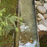 神楽坂 石かわ - 