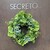 SECRETO - その他写真: