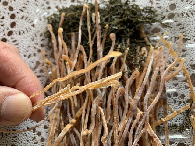 今野海産 - 日立木（その他）の写真