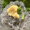 海鮮料理 天海