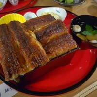 炭焼 うな富士 天白別邸 - 