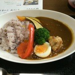 たけひろ - 野菜カレー。彩きれい。