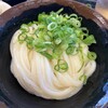 手打十段 うどんバカ一代