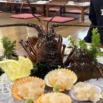 ししくい - ししくい　刺身