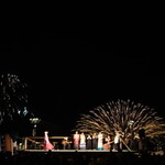 正龍 - 館山観光花火大会