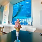 イルカの見えるレストラン - あまおうソフト¥500内　ソフトクリームもイルカも景色も良くてなかなか食べられない(嬉)