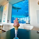 イルカの見えるレストラン - あまおうソフト¥500内　ソフトクリームもイルカも景色も良くてなかなか食べられない(嬉)
