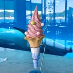 イルカの見えるレストラン - あまおうソフト¥500内　イルカがとても近くまで寄って来てくれる。ソフトクリームもイルカも景色も良くてなかなか食べられない(嬉)