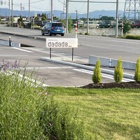 dadada_ - 