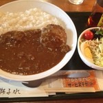 獅子吼高原ふれあい館 - ハンバーグカレー\650