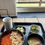 光る海 - かに飯&イクラ丼