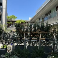 メゾン ポール・ボキューズ - 