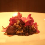 RISTORANTE IL NODO - 小田原志村さんの”ほしゆたか”4殻米リゾット ホタルイカアップ