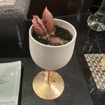 日本料理　花木鳥 - ホタルイカ