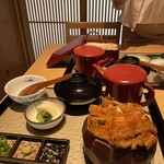 Sumiyaki Unagi Kashiwa Togawa - 