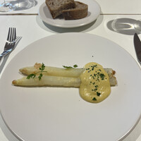 Loiseau de France - 