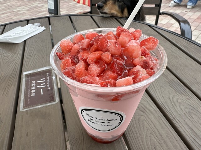 カフェ&レストラン Lily （カフェレストラン リリー） - 城ケ崎海岸