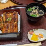 うなぎ四季彩 藤井 - 