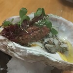 渡辺料理店 - 島根岩牡蠣馬肉タルタル西洋わさび