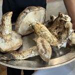 ウシマル - 素材のキノコ　(オオモミ茸)