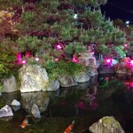 グルメ産直回転寿司 すし博多 - 