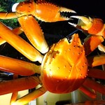 グルメ産直回転寿司 すし博多 - 