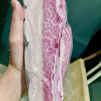 限定　対馬　鯨　畝須
