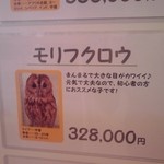 フクロウのみせ - 販売価格(・。・;)タカイ…