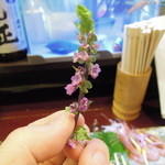 酒肴商店 アジト - 情緒ありますね！