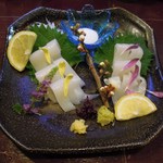 酒肴商店 アジト - イカ刺身(するめイカと？)