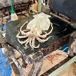 味の老舗 青山 本店 - 