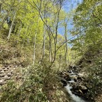 東電小屋 - こんな木道を上がったりして