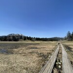 東電小屋 - 水芭蕉は発地の大清水でも観られますが、この尾瀬沼周遊道でも観られます