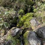 東電小屋 - 燧ヶ岳の伏流水をボトルに詰めて